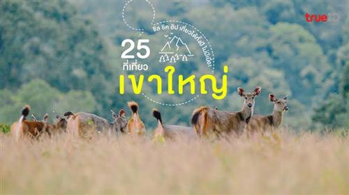 Khao Yai Trip