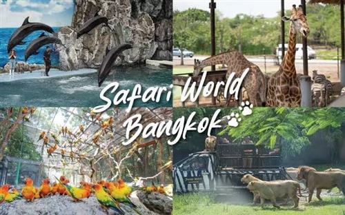 Safari World Trip