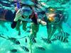 Koh Chang Trip