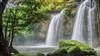 Khao Yai Trip