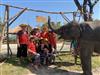 Visiting Elephants In Bangkok