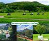 Khao Yai Trip